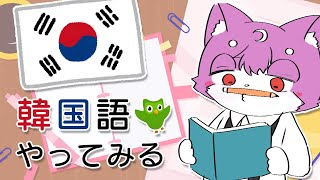 【Duolingo】韓国語勉強してみる【ルチード・ドルソニャ】