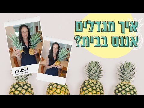 וִידֵאוֹ: איך לגדל פנינה