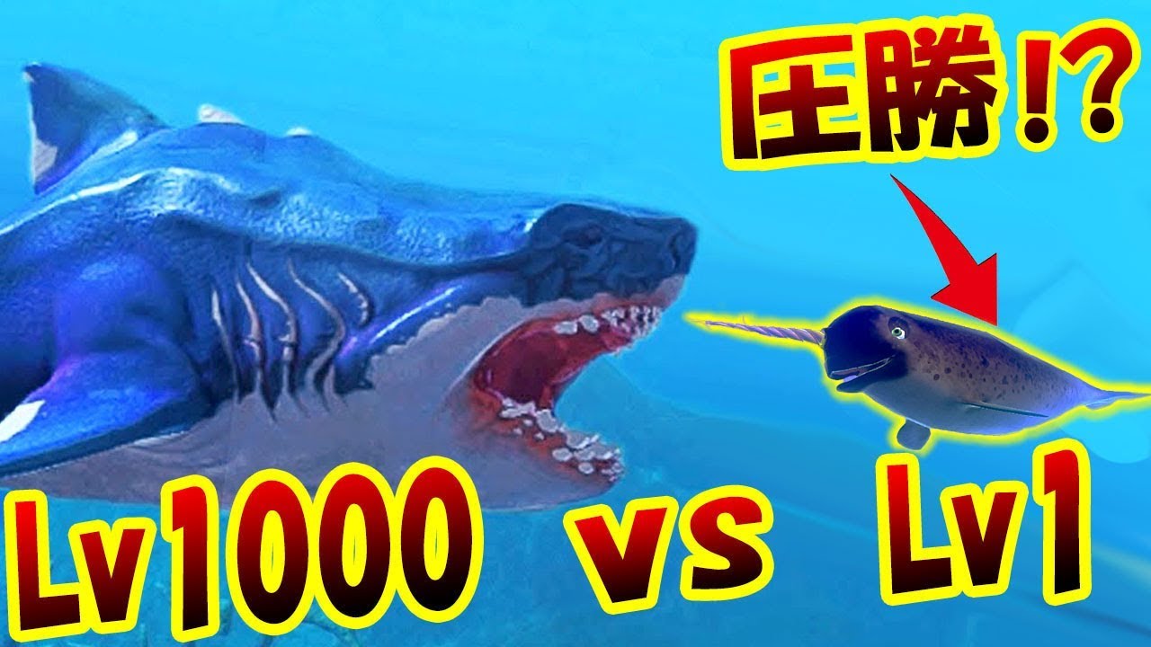巨大サメLv1000 vs イッカクLv1!! 最強の角でメガロドンに勝てる