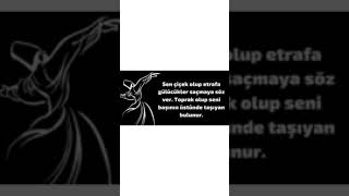 Hz. Mevlana Özlü Sözler