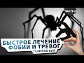 БЫСТРОЕ ЛЕЧЕНИЕ ФОБИЙ И ТРЕВОГ. Техника НЛП. часть 2