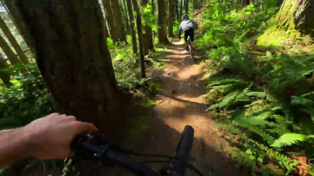 full pull dh day in bham