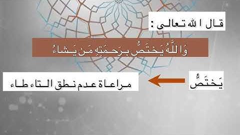 تعليم سورة البقرة آية د جمال القرش (1)