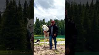 Horse Riding Destination 🐎🌄 | Real Travel Experience #horse #nature