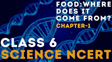 NCERT Class 6 | Science | Chapter - 1 Food:Where does it come from? | UPSC,UPPCS @MasterPYQ
