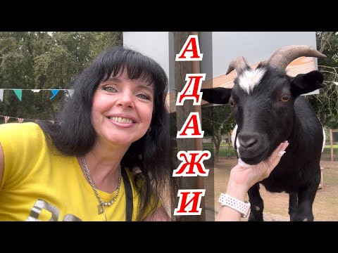 ✅ АДАЖИ ЗДЕСЬ ОЧЕНЬ КРАСИВО И УЮТНО ✅ Ruta Vlog @HozajushkaRuta @RutaLutkevica