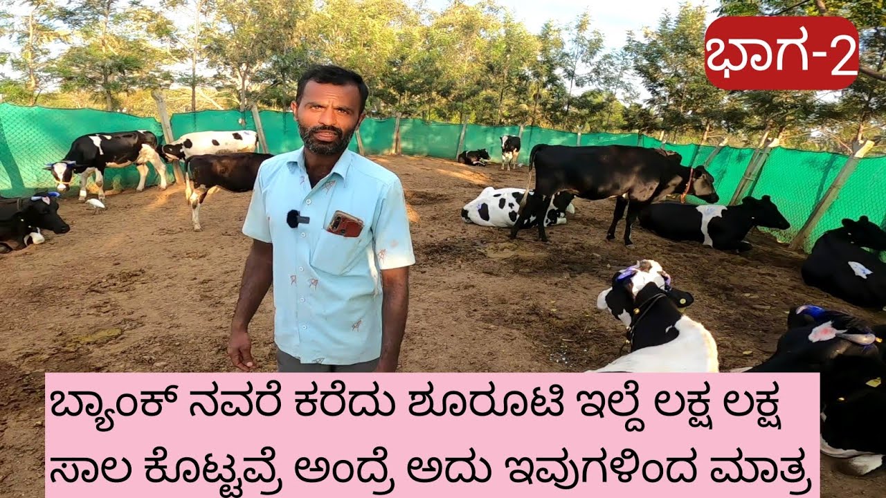 ನಾವು ಹಸುಗಳ್ನ ತಿಂಗಳಿಗೆ ಒಂದು ಸಲ ತೊಳಿತೀವಿ.. ಅವುಗಳು ಸತ್ತರೆ ಇಲ್ಲೇ ಊತಾಕ್ತಿನಿ ಅವುಗಳು ಇದ್ದಷ್ಟು ದಿನ ನಾನು..