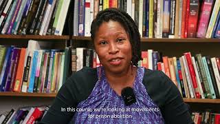 PACS 301: Special Topics | Prison and Police Abolition as Moral Imagination