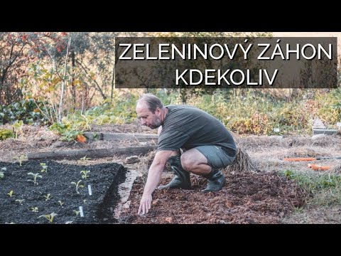 Video: Jak Připravit Zahradu Na Zeleninové Plodiny