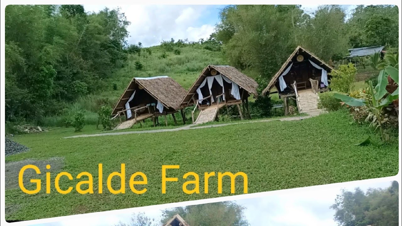 Gicalde Farm - Bangon-bangon, Sigma, Capiz