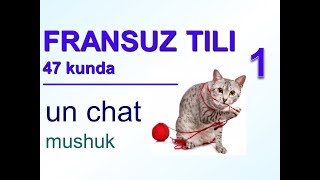 Француз тили 47 кунда 1-кун.  Fransuz tili 47 kunda 1-kun.