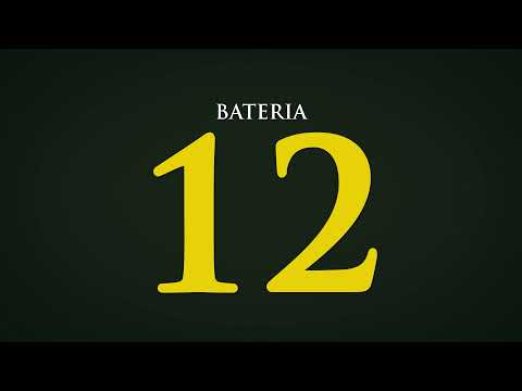 BATERIA 12