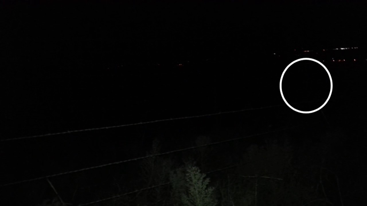 What do Bull Elk Sound Like? YouTube