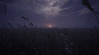 Twilight Over Empty Fields