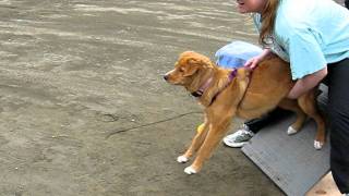20110604 015.avi