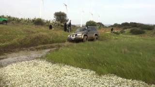 Costa De La Luz Y61 Fran