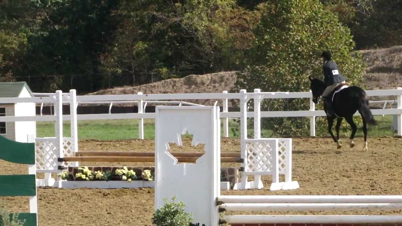 WIHS regional horse show - YouTube