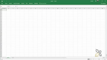 ECDL  Modulo 4  - Sezione 1 - Lavorare con il Foglio Elettronico, Interfaccia di Excel