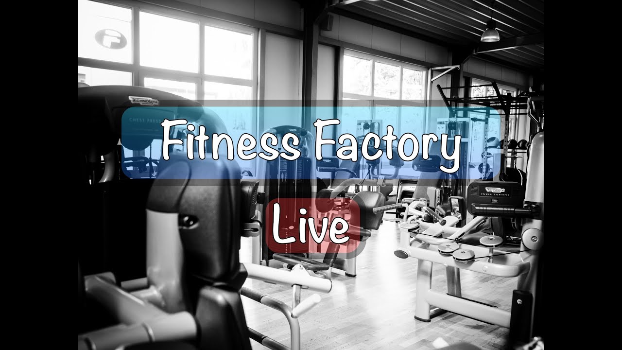 Full Body Workout aus der Fitness Factory