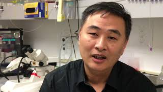 SBP's Huaxi Xu, Ph.D., talks about the how the SORLA gene protects against Alzheimer's