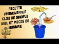 Recette phenomenale clou de girofle  miel   pices de monnaie