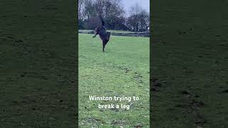 Winston’s exercise