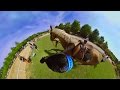 360° video Parkour horse riding