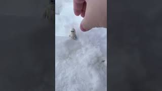 How to Make LEGO Photography!