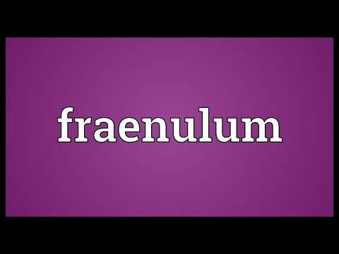Header of fraenulum