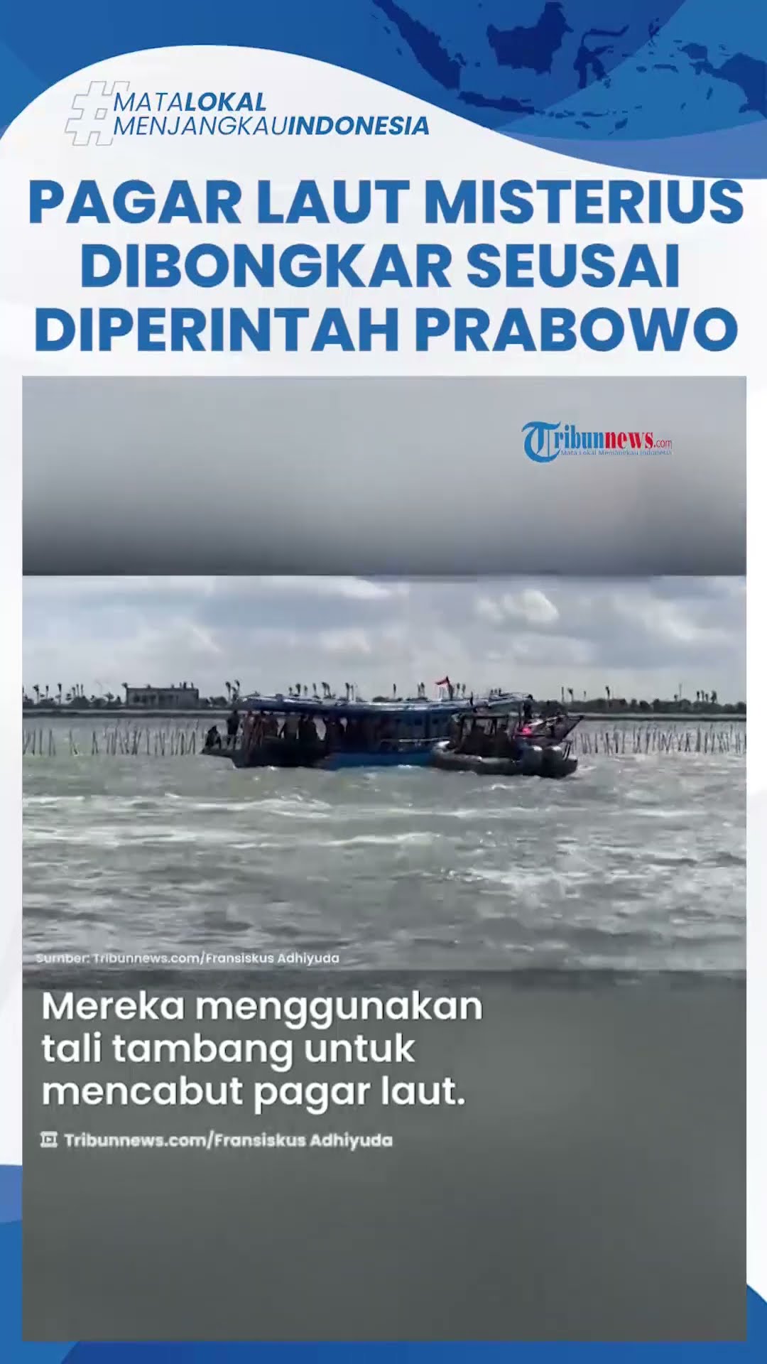 Pagar Laut di Tangerang Dibongkar seusai Diperintah Prabowo, 600 TNI AL Dikerahkan Cabut Pakai Tali