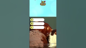 TRIVIA Master?? SUMMER QUIZ Part 2! #shorts #Trivia #quiz