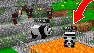 ASI RESCATAMOS a los PANDAS de MINECRAFT! 😱  Minecraft con ARTICKRAFT y CARLOSCASTLE