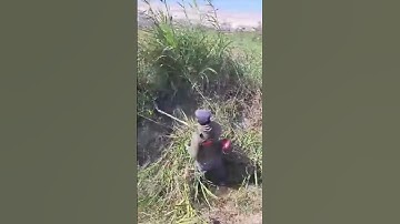 Limpieza #agriculture #agricultura #canales #campo