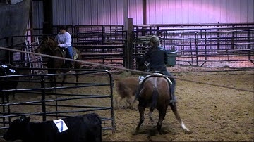 Spectacular Jewels - Spec - 11/7/12 sorting practice 4 - Valley View Ranch