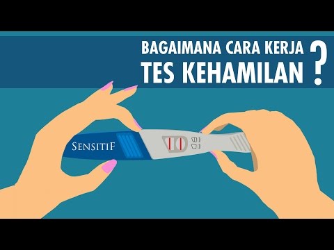 Video: Bagaimana cara kerja tes kehamilan biologi?