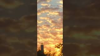 Download Lagu Cardigan- Taylor swift (1 hour) best part. *tiktok version* MP3