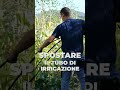 lavori al podere