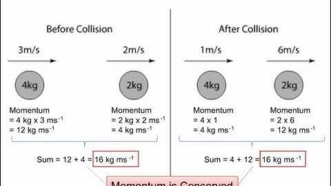 Principle of Conservation of Momentum | Force and Motion