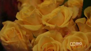 Studfield Florist Flower Shop in Wantirna South VIC for Bouquet and Flower Design