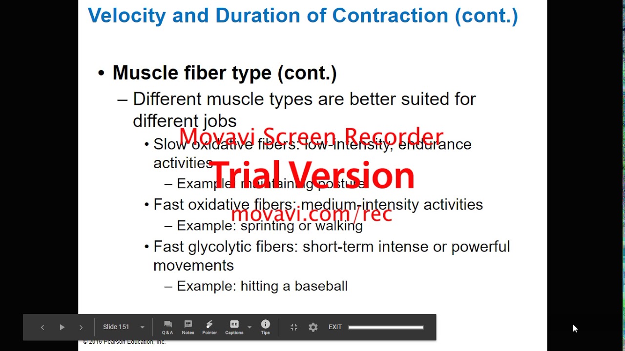 Muscle and Muscle Tissue Part 3 - YouTube