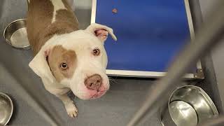 acs A469723