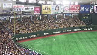 Japanese Baseball Chants