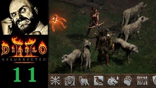 Diablo 2: Resurrected PL HC Druid 11