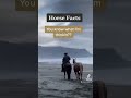 Check out my latest video