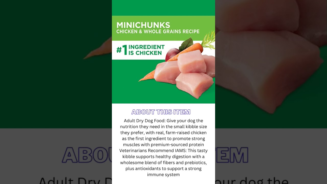 IAMS Adult Minichunks Small Kibble High Protein Dry Dog Food with Real Chicken, 30 lb. Bag