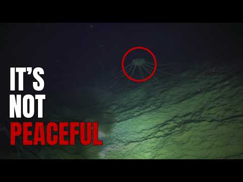 Why Mariana Trench is the Scariest Place on Earth