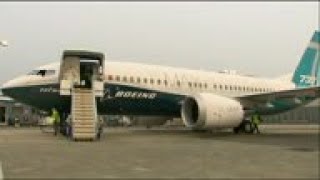 US aviation chief on Boeing 737 Max test flight
