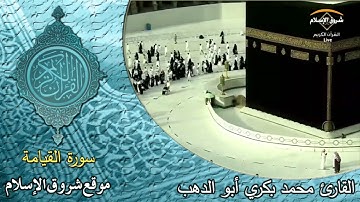 سورة القيامة ( القارئ محمد بكري أبو الدهب )