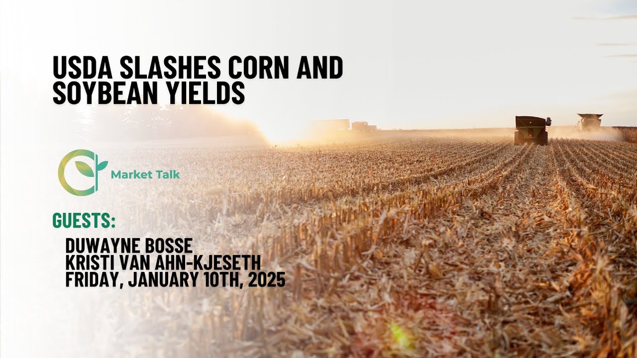 USDA Slashes Corn and Soybean Yields - YouTube