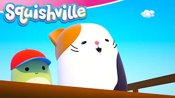 The Woo-Hoo! Guy | Squishville 🎀 - Storytime Companions | Kids Cartoons